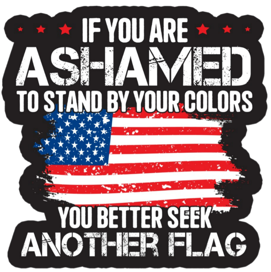 Seek Flag3x Decal