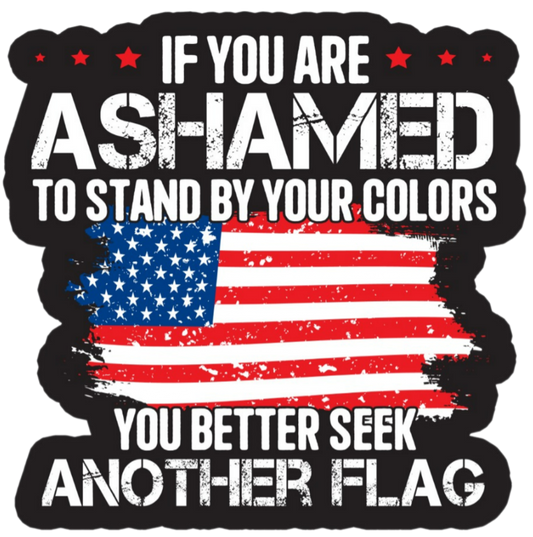 Seek Flag3x Decal
