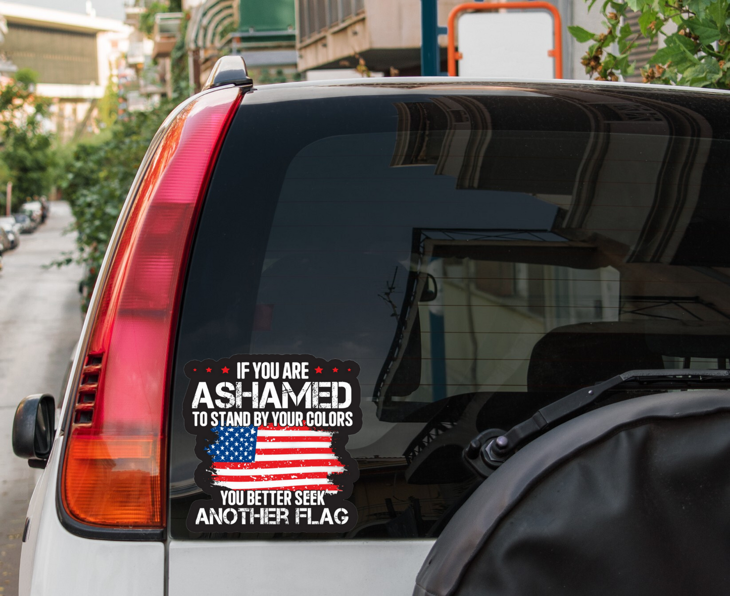 Seek Flag3x Decal