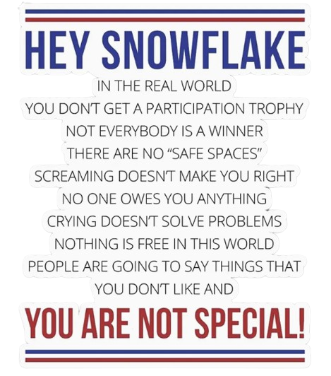 Hey Snowflake – Right Words