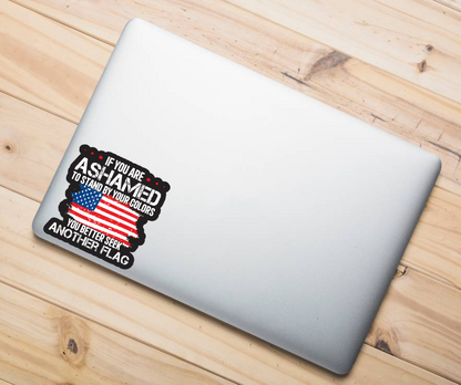 Seek Flag3x Decal